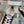 CC Sneaker Black Canvas 203261