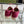 GC 2025 Espadrille With Horsebit Red Burgundy Canvas 292314