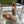 GC 2025 Espadrille With Horsebit Beige and Dark Brown Canvas 292317