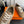 HM Chaussures Derby Daim marron 739999