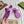 GG 26s Horsebit Thong Sandals Purple Rubber 826210