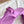 GG 26s Horsebit Thong Sandals Purple Rubber 826210