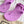GG 26s Horsebit Thong Sandals Purple Rubber 826210