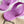 GG 26s Horsebit Thong Sandals Purple Rubber 826210