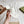 GG 26s Horsebit Thong Sandals White Rubber 826208