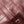 Celine Crystal Pouch Burgundy Lambskin