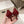 TRIOMPHE HIGH PUMP 5 CM IN RUBY RED PATENT CALFSKIN