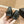 ballet flats black lambskin
