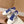 Golden Goose 2025 Sneaker White Blue Cowhide 428306