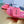 Pra Crochet Mule 20 Rosa Caldo