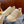 GG Men's Rhyton Sneaker Milk White Calfskin 524496