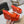 ZEPPA ALAIA CON PLATEAU IN PELLE DI AGNELLO ARANCIONE VIVO CON CUORE ROSSO