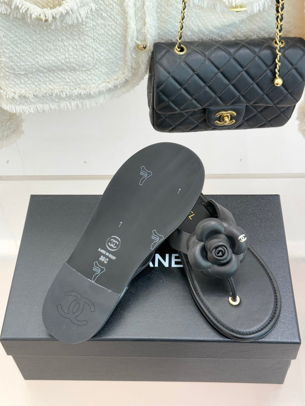 CC 26C Camélia Printemps précoce Cuir de veau noir