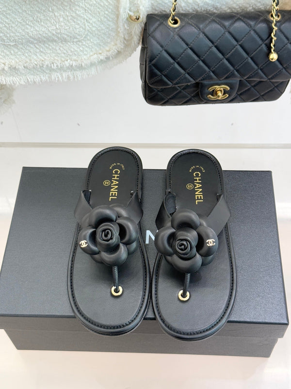 CC 26C Camélia Printemps précoce Cuir de veau noir