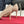 Valentino Rockstud Pumps Beige Patent Leather 643003