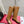 Valentino 2025 Biker High Boot Brown Calfskin 554164