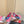 DC Rhinestones Keira Mules Blue Denim & Sheepskin 921017