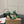 CL Diamond Sandals 10.5cm Green Silk 299881
