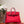 KELLY SELLIER 25 BAG IN CLASSIC RED OSTRICH LEATHER WITH GOLD HARDWARE (MADE - TO - ODER)