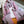 Écharpe Jacquard GG Double G 180CM Laine Rose Gris 282698