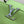 CAPUCINES BB 27 VERDE TAURILLON TURCHESE ARGENTO HARDWARE