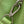 CAPUCINES BB 27 VERDE TAURILLON TURCHESE ARGENTO HARDWARE