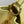 CAPUCINES BB 27 GIALLO TAURILLON ORO HARDWARE