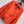 Miu Blouson Jacket Orange Twill Cotton 350413