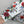 GG SS26 Flora Printed Collared Shirt White Multicolor Silk 351788
