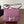 CONSTANCE 18 PURPLE OSTRICH SILVER HARDWARE