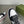 GGx Nike Men's Sneaker Black White Cowhide 585801