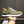 Sneaker da uomo HM in pelle scamosciata verde 619320
