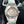 Rolex Oyster Perpetual 40mm Silver Grey
