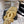 CC 26s Open-toe Sandal Gold Sheepskin 681943