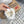 Miu Balance 530 SL Sneakers Fleece Lining White Retro Suede