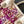 CC 2025 Bag Pink White Tweed Fabric Leather