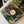 Sac CC 2025 en tweed et cuir multicolore