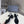 slingback sandal 45 black calskin crystal