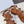 CELINE Sandals Clemence Multi Brown Leather