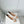 Chanel 2026 Ballet Flat Beige White Lambskin 697405