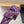 HIGH HEEL SLIDES IN PURPLE VELVET