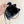 Sac Mini Cabas CC 2025 en Veau Noir 346305