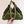 CC 2026 Hobo Bag 30cm Olive Suede 290087