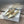 cd slingback flat gold green cakfskin