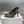 cd slingback pump 95 transparent mesh embroidered black sun motif
