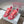 Sneaker CD Star in pelle di vitello rosa corallo
