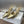 CD Tribales Pump 75mm Glossy Gold Cowhide