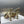 CD Tribales Pump 75mm Glossy Gold Cowhide