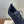 CD B80 Lounge Sneaker Dark Navy Blue Cannage Cashmere Wool 551441