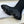 CD 26s Knee High Boots 3cm Black Oblique Canvas Leather 118454